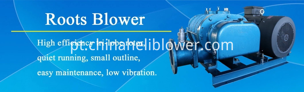 Roots blower.webp Roots blower.webp